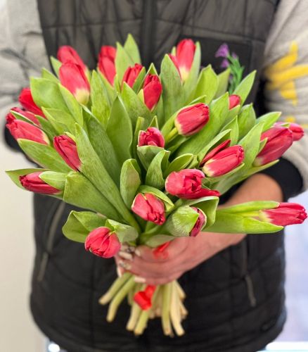 Купить букет из красных тюльпанов "Сабрина" с доставкой по поселку им. Свердлова